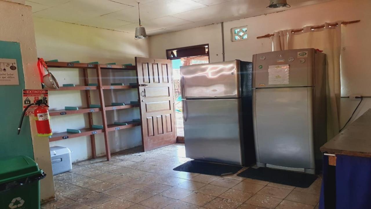 Cabinas Palmer Makanda Cahuita Extérieur photo