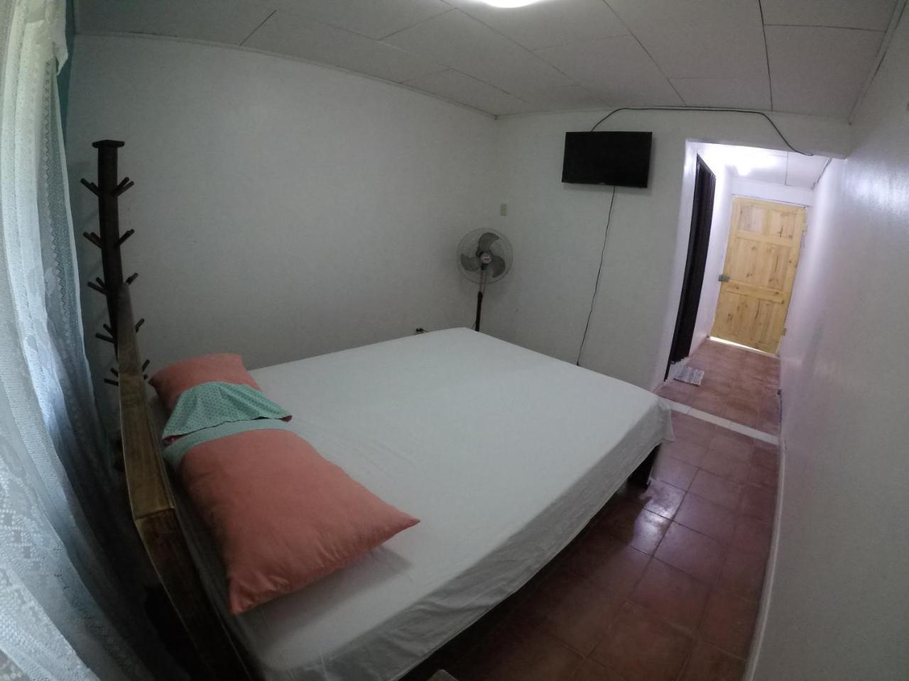 Cabinas Palmer Makanda Cahuita Extérieur photo